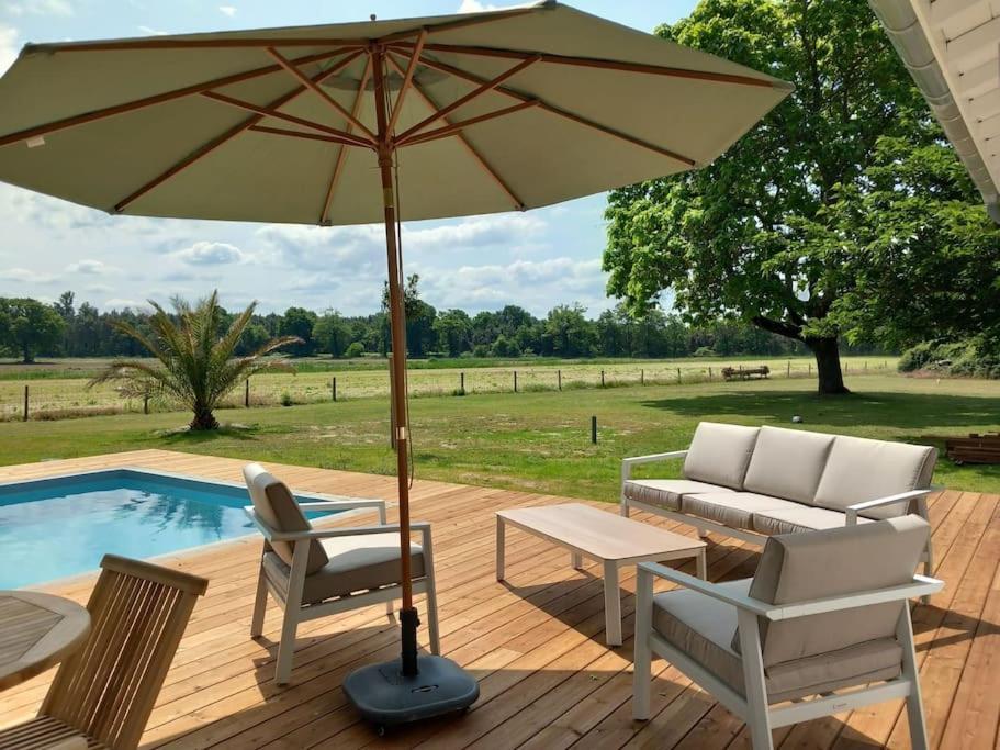 Maison Neuve Avec Piscine Chauffee, 4 Kms De Contis Plage Saint-Julien-en-Born Extérieur photo
