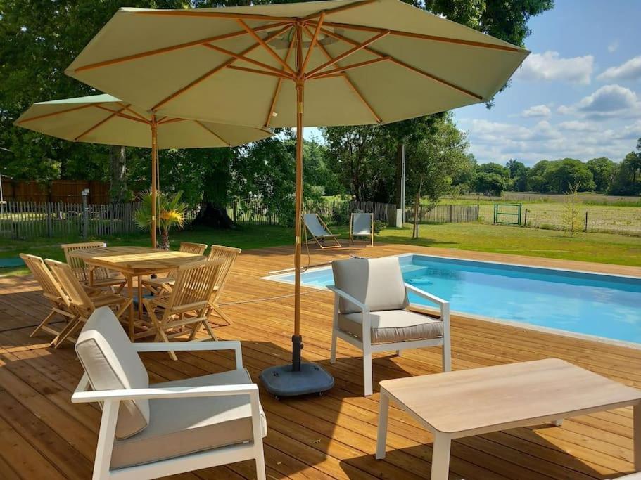 Maison Neuve Avec Piscine Chauffee, 4 Kms De Contis Plage Saint-Julien-en-Born Extérieur photo